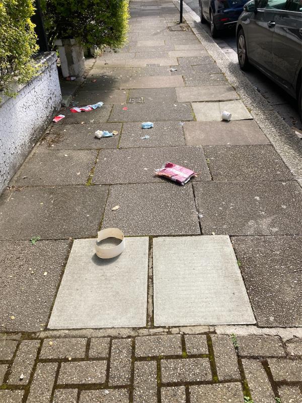 Killer left after bin collection. Foxes?-5 Bowood Road, London, SW11 6PE