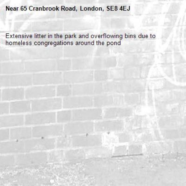 Extensive litter in the park and overflowing bins due to homeless congregations around the pond -65 Cranbrook Road, London, SE8 4EJ