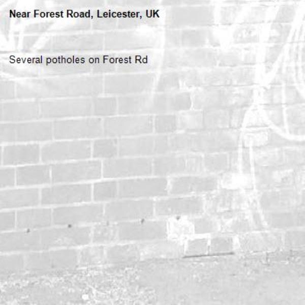 Several potholes on Forest Rd-Forest Road, Leicester, UK