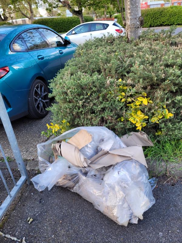 Fly tipped cardboard tubes and plastic sheets in the path leading in to 136 Austen Road -Ballantyne Road Footpaths, Farnborough