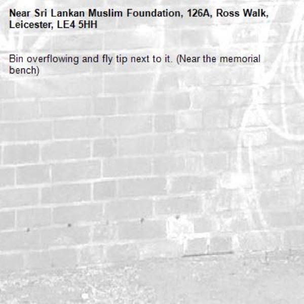 Bin overflowing and fly tip next to it. (Near the memorial bench) -Sri Lankan Muslim Foundation, 126A, Ross Walk, Leicester, LE4 5HH
