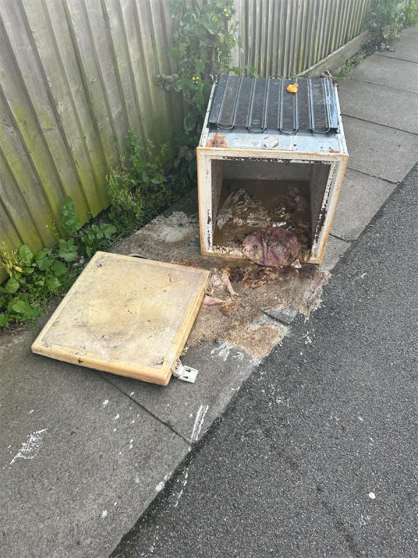 A fridge spilling out what must be rotten food that has turned into gunk! -51 Holbeach Road, London, SE6 4TG