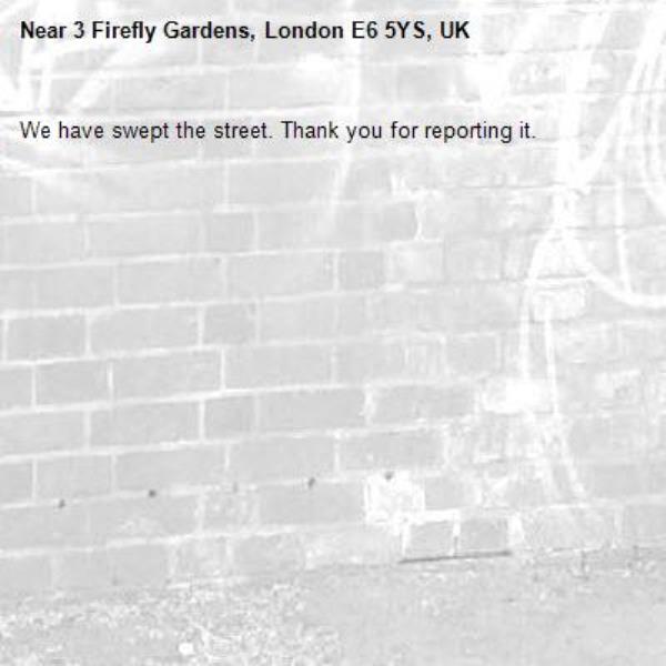 We have swept the street. Thank you for reporting it.-3 Firefly Gardens, London E6 5YS, UK