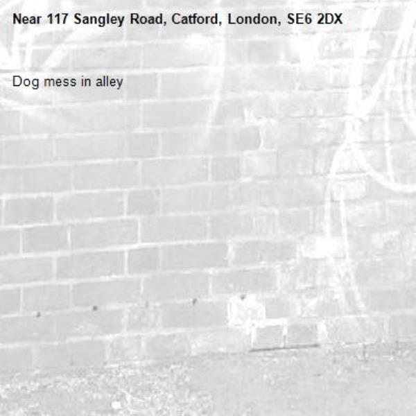 Dog mess in alley -117 Sangley Road, Catford, London, SE6 2DX