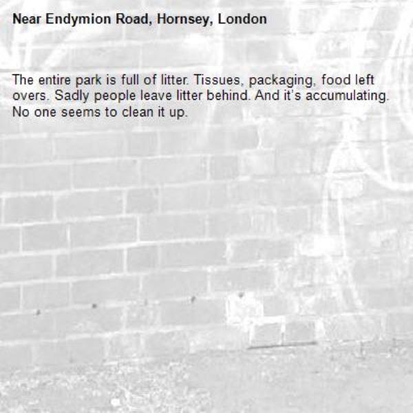 The entire park is full of litter. Tissues, packaging, food left overs. Sadly people leave litter behind. And it’s accumulating. No one seems to clean it up.-Endymion Road, Hornsey, London