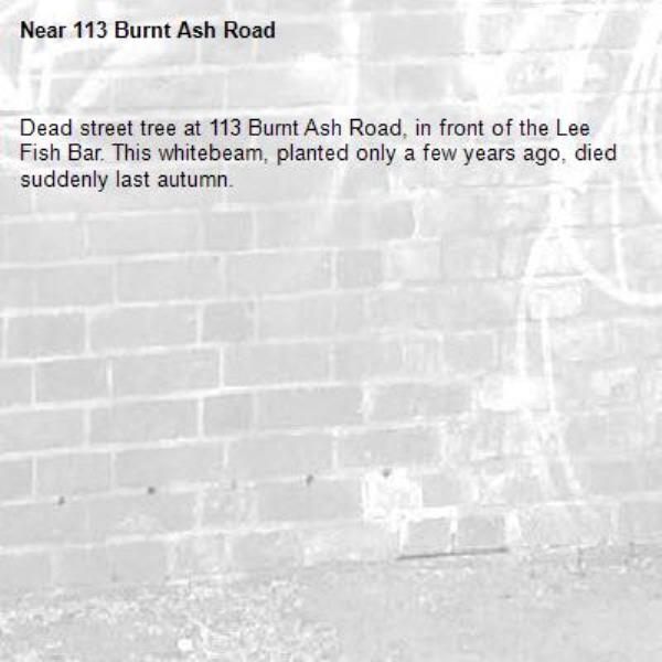 Dead street tree at 113 Burnt Ash Road, in front of the Lee Fish Bar. This whitebeam, planted only a few years ago, died suddenly last autumn. -113 Burnt Ash Road