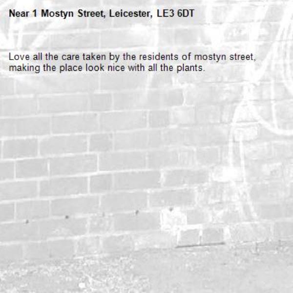 Love all the care taken by the residents of mostyn street, making the place look nice with all the plants.-1 Mostyn Street, Leicester, LE3 6DT