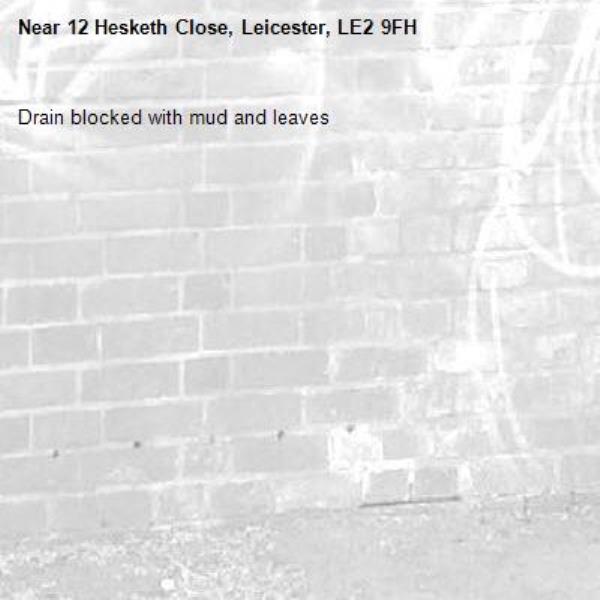 Drain blocked with mud and leaves -12 Hesketh Close, Leicester, LE2 9FH