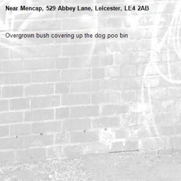 Overgrown bush covering up the dog poo bin -Mencap, 529 Abbey Lane, Leicester, LE4 2AB