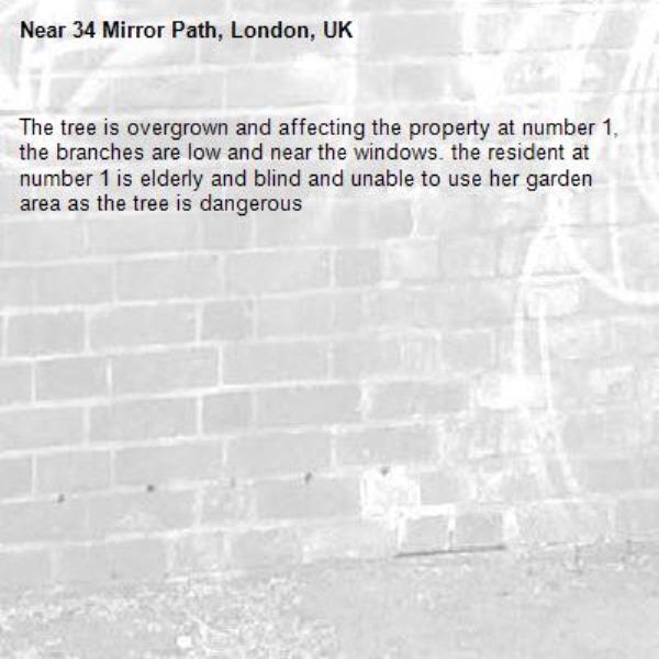 The tree is overgrown and affecting the property at number 1, the branches are low and near the windows. the resident at number 1 is elderly and blind and unable to use her garden area as the tree is dangerous -34 Mirror Path, London, UK