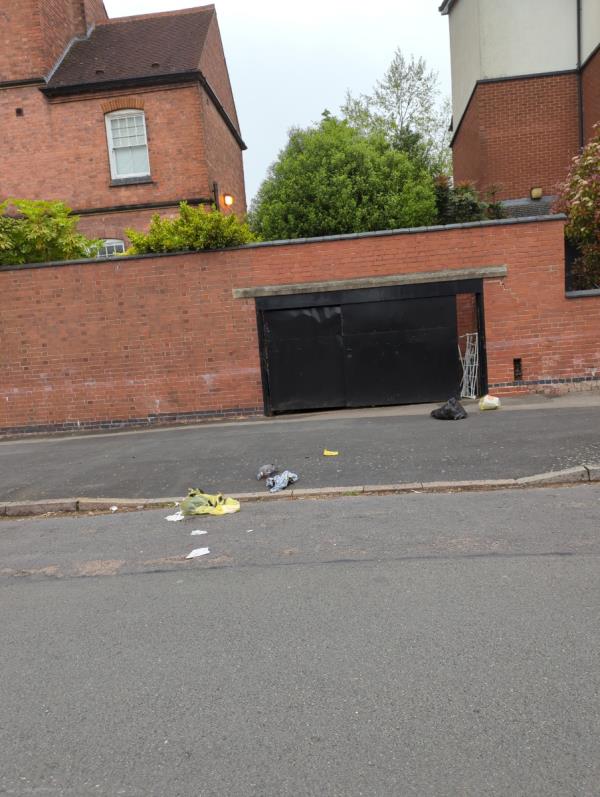 Bin bags in the middle of the street attracting animals to eat-3 Sandhurst Road, Leicester, LE3 6RB