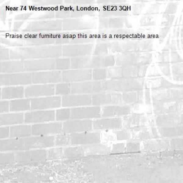 Praise clear furniture asap this area is a respectable area -74 Westwood Park, London, SE23 3QH