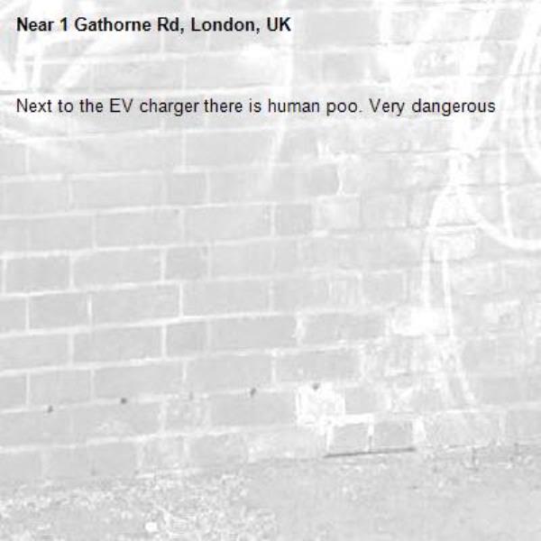 Next to the EV charger there is human poo. Very dangerous -1 Gathorne Rd, London, UK