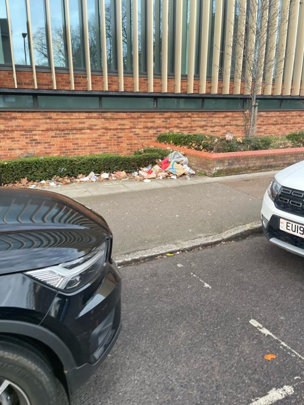 Every second day. Rubbish everywhere. More bins at leisure centre. Anything. Please. Someone. Do something. The litter is appalling.-189 Romford Rd, London E15 4JF, UK