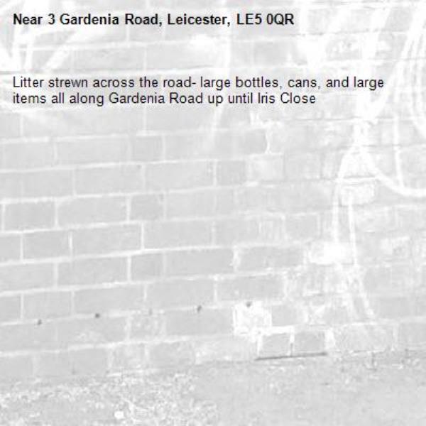 Litter strewn across the road- large bottles, cans, and large items all along Gardenia Road up until Iris Close-3 Gardenia Road, Leicester, LE5 0QR