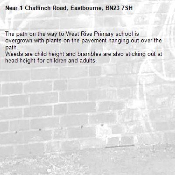 The path on the way to West Rise Primary school is overgrown with plants on the pavement hanging out over the path. 
Weeds are child height and brambles are also sticking out at head height for children and adults. -1 Chaffinch Road, Eastbourne, BN23 7SH