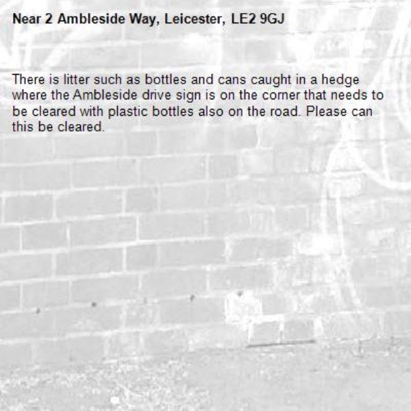 There is litter such as bottles and cans caught in a hedge where the Ambleside drive sign is on the corner that needs to be cleared with plastic bottles also on the road. Please can this be cleared.-2 Ambleside Way, Leicester, LE2 9GJ