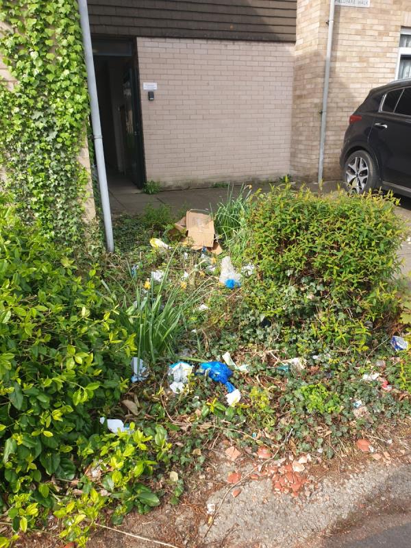 This litter has been there for weeks. Please Please can we have solution for this. No one has the time to all the time report these issues about litter not being cleaned in this area.-Flat 35, Helena Roberts House, 21 Kingfisher Avenue, Leicester, LE5 3FS