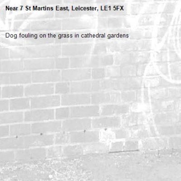 Dog fouling on the grass in cathedral gardens-7 St Martins East, Leicester, LE1 5FX