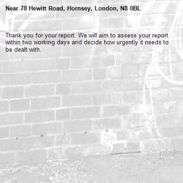 Thank you for your report. We will aim to assess your report within two working days and decide how urgently it needs to be dealt with.-78 Hewitt Road, Hornsey, London, N8 0BL