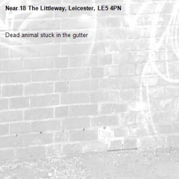 Dead animal stuck in the gutter-18 The Littleway, Leicester, LE5 4PN
