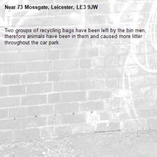 Two groups of recycling bags have been left by the bin men, therefore animals have been in them and caused more litter throughout the car park. -73 Mossgate, Leicester, LE3 9JW