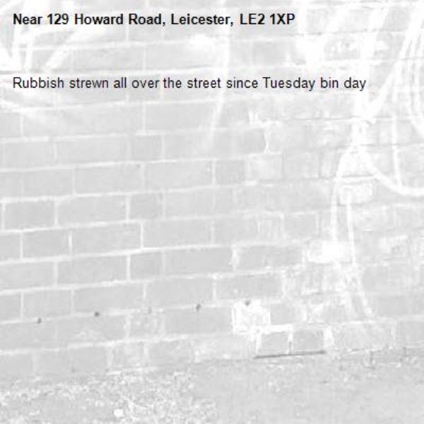 Rubbish strewn all over the street since Tuesday bin day -129 Howard Road, Leicester, LE2 1XP