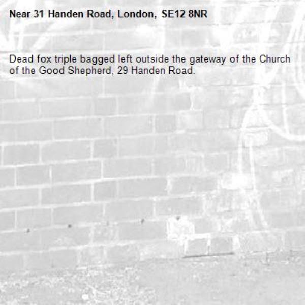Dead fox triple bagged left outside the gateway of the Church of the Good Shepherd, 29 Handen Road.-31 Handen Road, London, SE12 8NR
