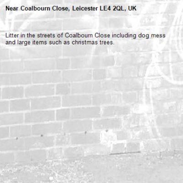 Litter in the streets of Coalbourn Close including dog mess and large items such as christmas trees.-Coalbourn Close, Leicester LE4 2QL, UK