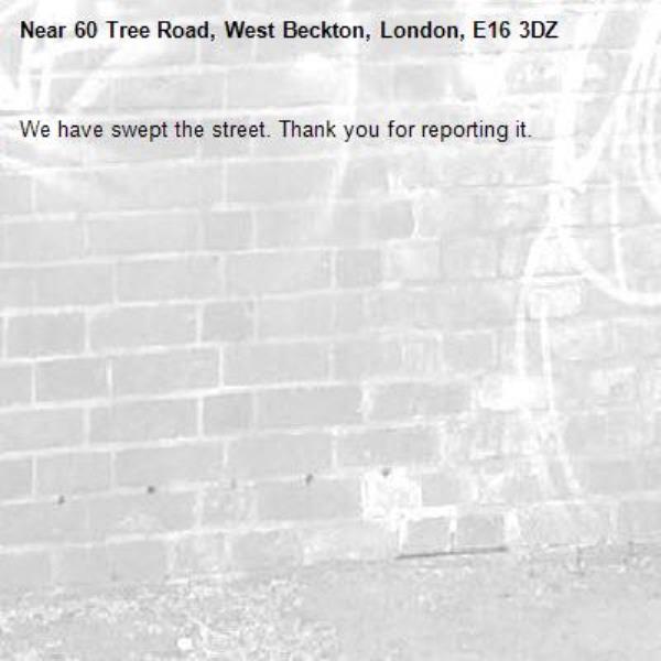 We have swept the street. Thank you for reporting it.-60 Tree Road, West Beckton, London, E16 3DZ