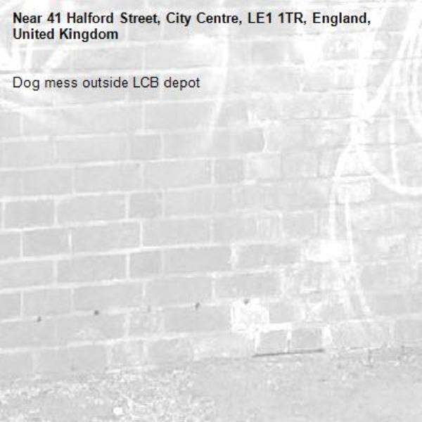 Dog mess outside LCB depot -41 Halford Street, City Centre, LE1 1TR, England, United Kingdom
