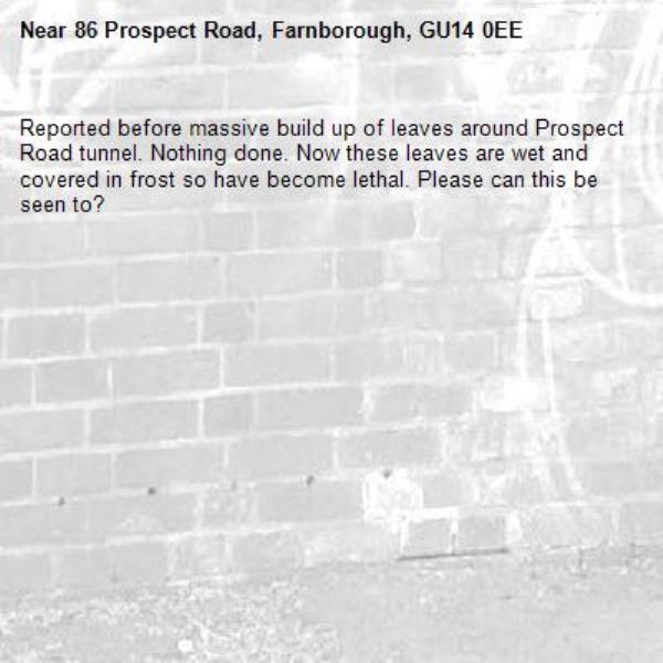 Reported before massive build up of leaves around Prospect Road tunnel. Nothing done. Now these leaves are wet and covered in frost so have become lethal. Please can this be seen to?-86 Prospect Road, Farnborough, GU14 0EE