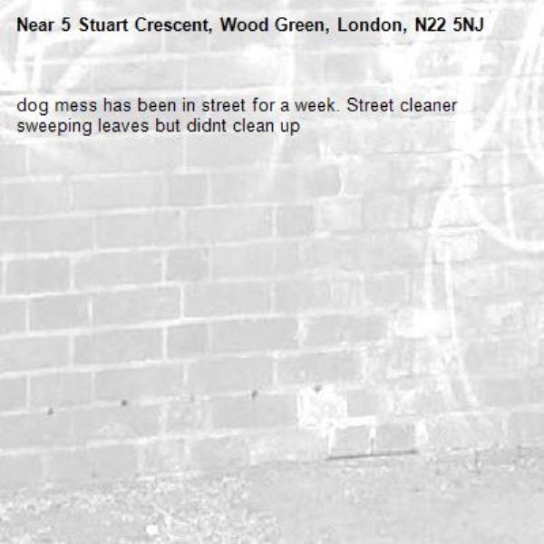dog mess has been in street for a week. Street cleaner sweeping leaves but didnt clean up -5 Stuart Crescent, Wood Green, London, N22 5NJ