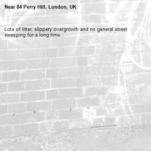 Lots of litter, slippery overgrowth and no general street sweeping for a long time. -84 Perry Hill, London, UK