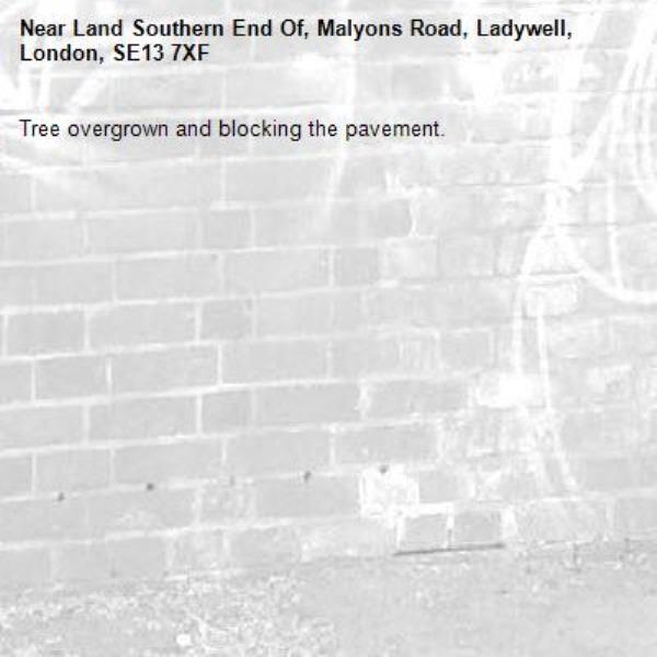 Tree overgrown and blocking the pavement. -Land Southern End Of, Malyons Road, Ladywell, London, SE13 7XF