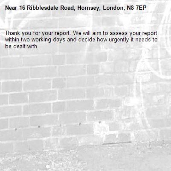 Thank you for your report. We will aim to assess your report within two working days and decide how urgently it needs to be dealt with.-16 Ribblesdale Road, Hornsey, London, N8 7EP