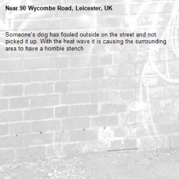 Someone's dog has fouled outside on the street and not picked it up. With the heat wave it is causing the surrounding area to have a horrible stench-90 Wycombe Road, Leicester, UK