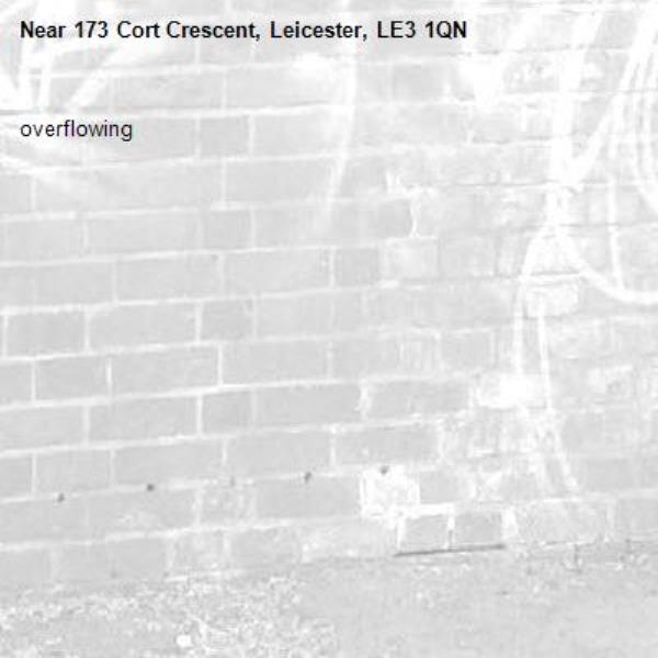 overflowing -173 Cort Crescent, Leicester, LE3 1QN