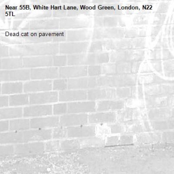 Dead cat on pavement-55B, White Hart Lane, Wood Green, London, N22 5TL