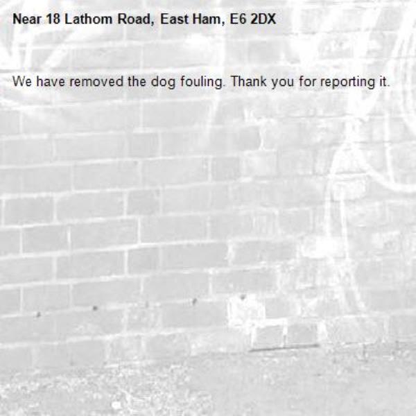 We have removed the dog fouling. Thank you for reporting it.-18 Lathom Road, East Ham, E6 2DX