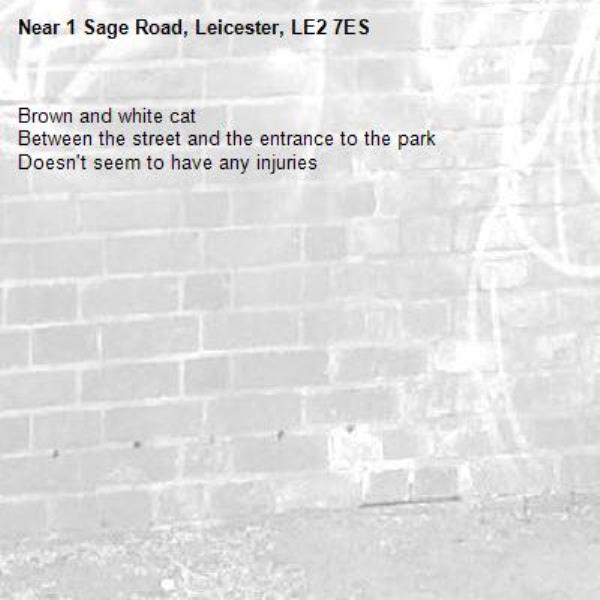 Brown and white cat 
Between the street and the entrance to the park 
Doesn't seem to have any injuries -1 Sage Road, Leicester, LE2 7ES