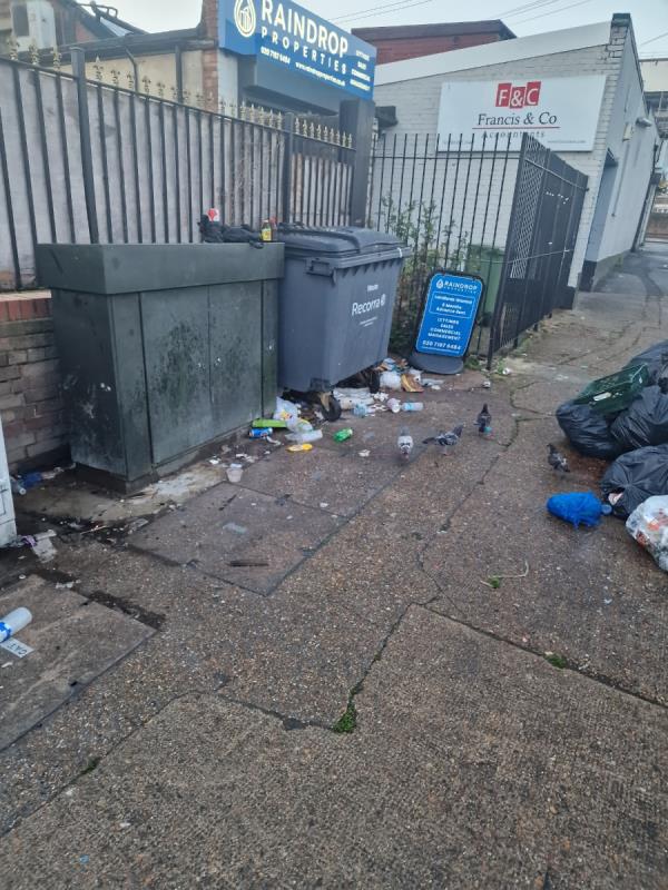 The street cleaners are doing a great job, it's the anti social behaviour of littering that's a problem. When will Newham starting fining people?-11 Francis Street, Stratford, London, E15 1JG