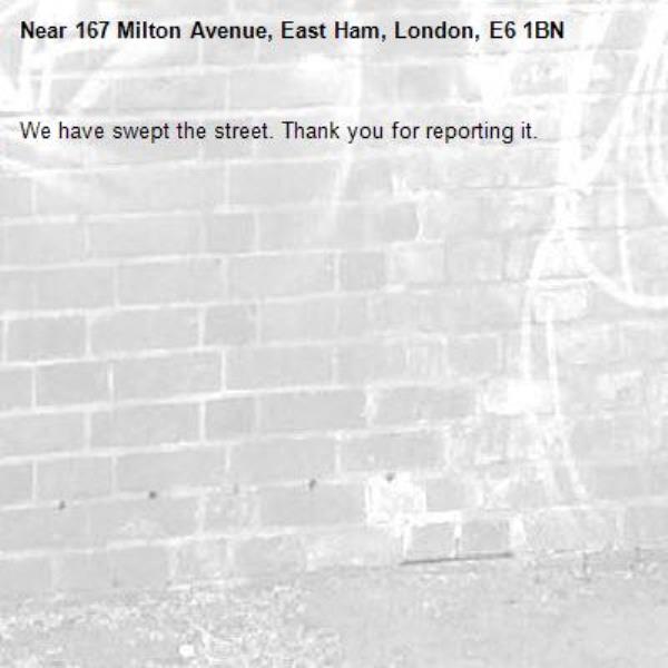 We have swept the street. Thank you for reporting it.-167 Milton Avenue, East Ham, London, E6 1BN
