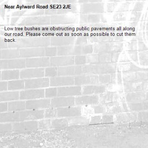 Low tree bushes are obstructing public pavements all along our road. Please come out as soon as possible to cut them back.-Aylward Road SE23 2JE 