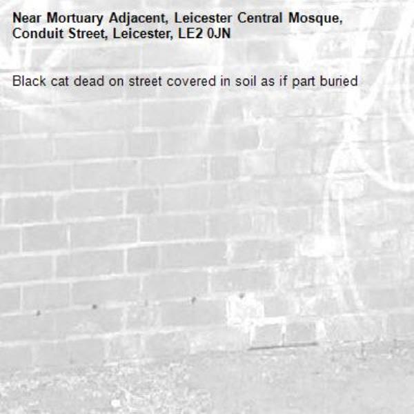 Black cat dead on street covered in soil as if part buried-Mortuary Adjacent, Leicester Central Mosque, Conduit Street, Leicester, LE2 0JN