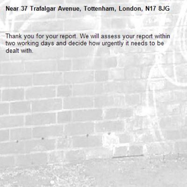 Thank you for your report. We will assess your report within two working days and decide how urgently it needs to be dealt with.-37 Trafalgar Avenue, Tottenham, London, N17 8JG