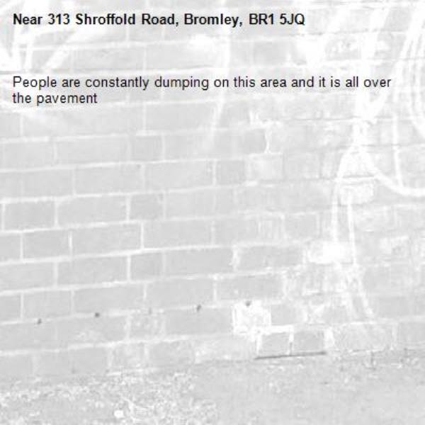 People are constantly dumping on this area and it is all over the pavement -313 Shroffold Road, Bromley, BR1 5JQ