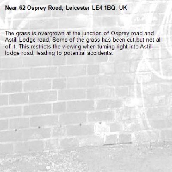 The grass is overgrown at the junction of Osprey road and Astill Lodge road, Some of the grass has been cut,but not all of it. This restricts the viewing when turning right into Astill lodge road, leading to potential accidents.-62 Osprey Road, Leicester LE4 1BQ, UK