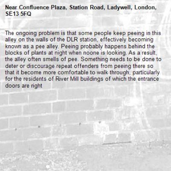 The ongoing problem is that some people keep peeing in this alley on the walls of the DLR station, effectively becoming known as a pee alley. Peeing probably happens behind the blocks of plants at night when noone is looking. As a result, the alley often smells of pee. Something needs to be done to deter or discourage repeat offenders from peeing there so that it become more comfortable to walk through, particularly for the residents of River Mill buildings of which the entrance doors are right -Confluence Plaza, Station Road, Ladywell, London, SE13 5FQ