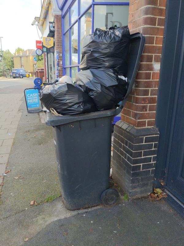 Bin overflowing and bags fly tipped -193H, Perry Vale, Forest Hill, London, SE23 2JF